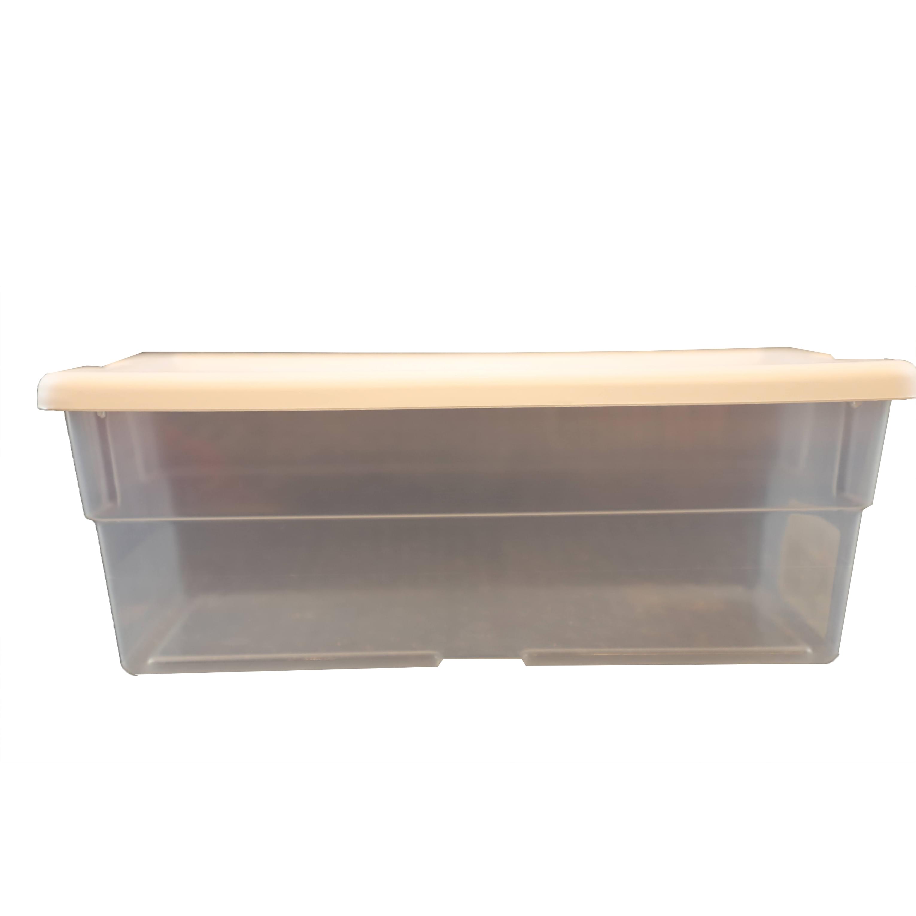 Shoe box best sale plastic storage containers