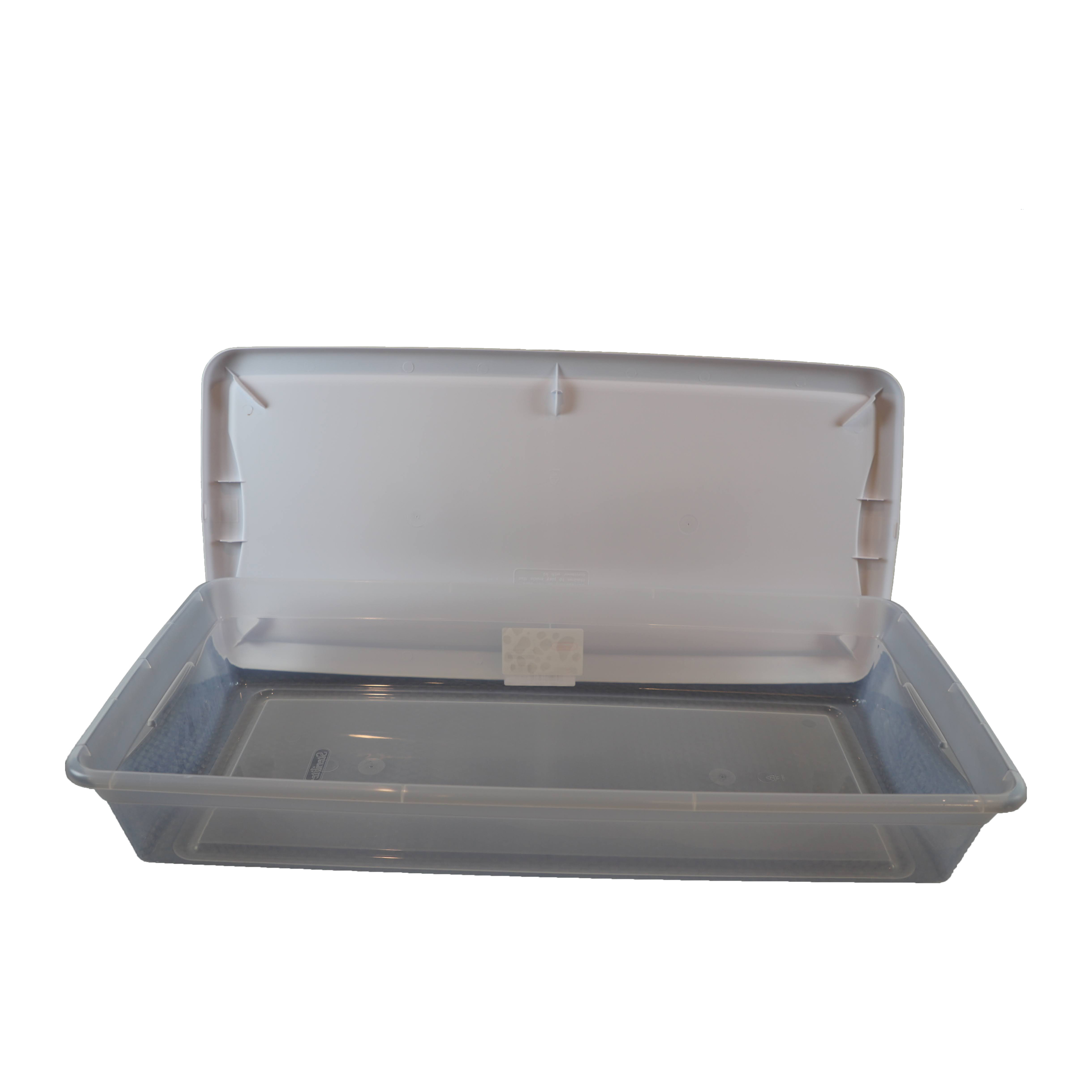 Plastic Shoe Boxes - 16 x 12 x 7, 16 Quarts